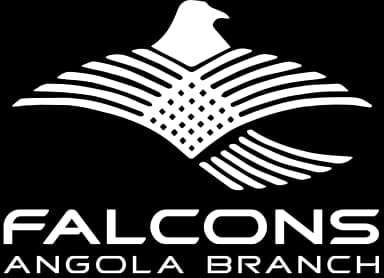 Falcon GT Motors Logo
