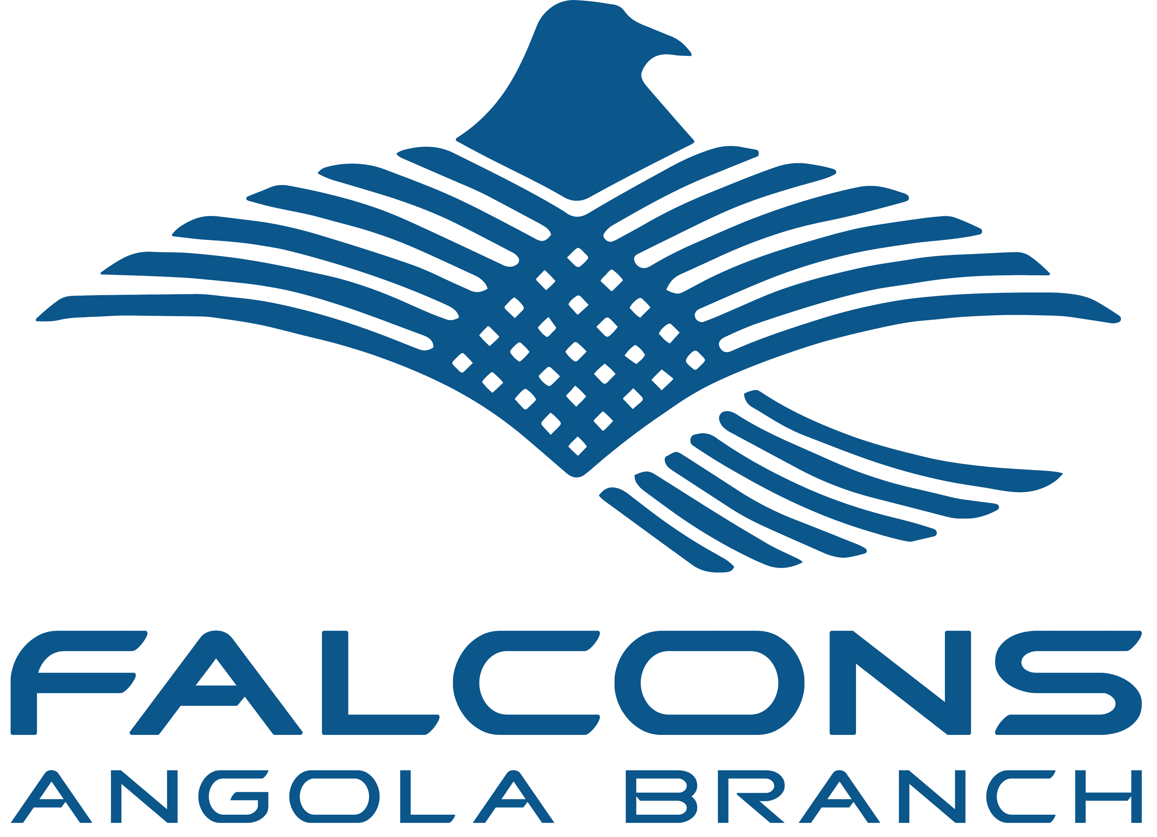 John Xavier - Sales Manager | Falcons Angola